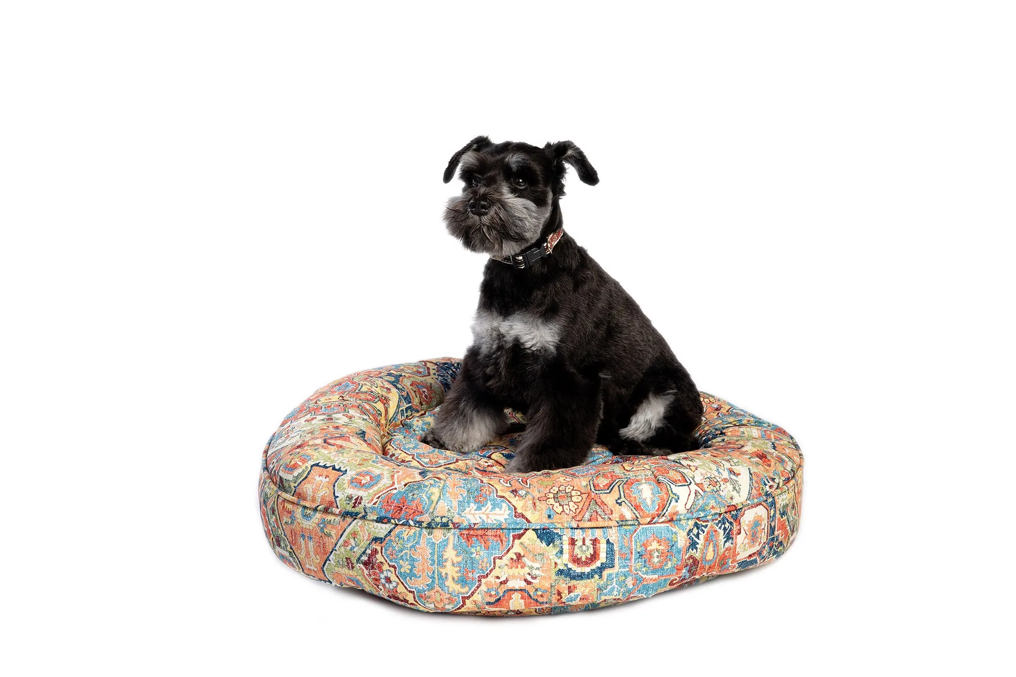 Canine Styles - Cotton Canvas - Naya Multi