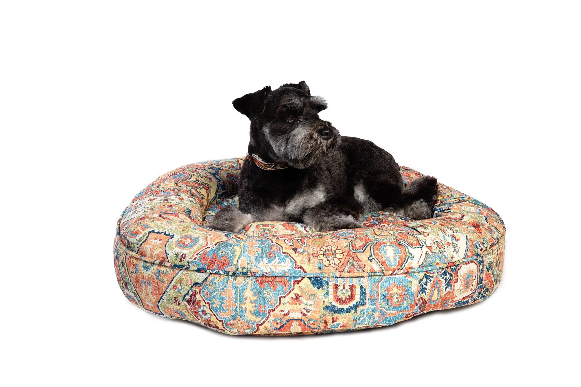 Canine Styles - Cotton Canvas - Naya Multi