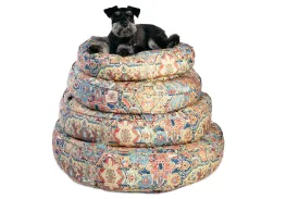 Canine Styles - Cotton Canvas - Naya Multi