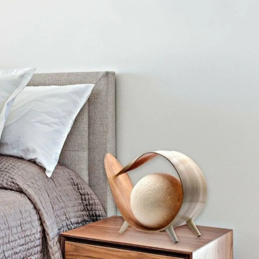 Natural Coconut Lamps Handmade In Indonesia- 6 Great Styles