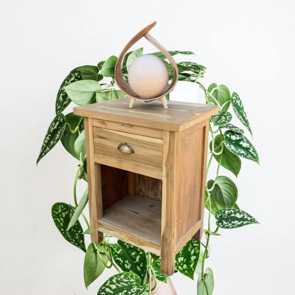 Natural Coconut Lamps Handmade In Indonesia- 6 Great Styles