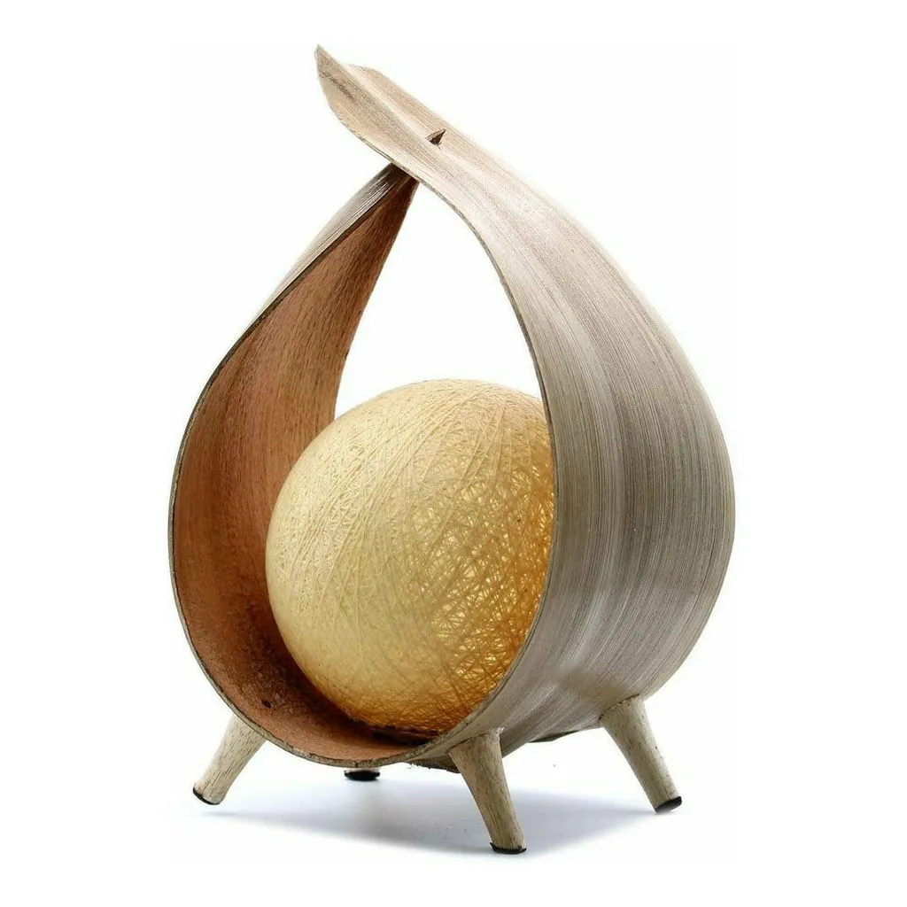 Natural Coconut Lamps Handmade In Indonesia- 6 Great Styles